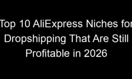 Top 10 AliExpress Niches for Dropshipping That Are Still Profitable in 2026