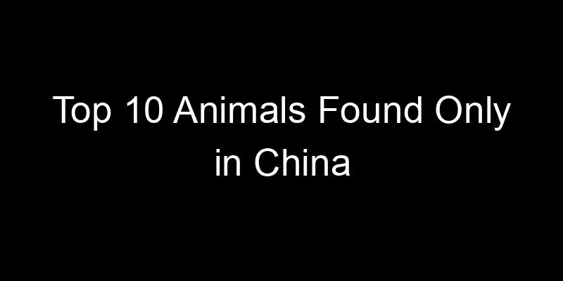 You are currently viewing Top 10 Animals Found Only in China