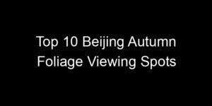 Read more about the article Top 10 Beijing Autumn Foliage Viewing Spots