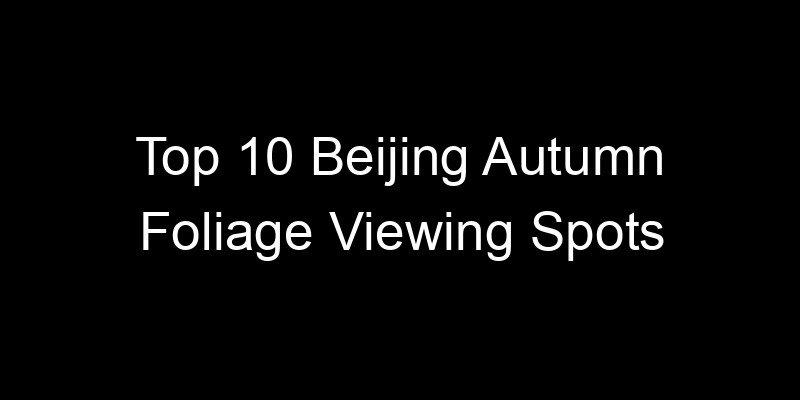Read more about the article Top 10 Beijing Autumn Foliage Viewing Spots