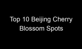 Top 10 Beijing Cherry Blossom Spots