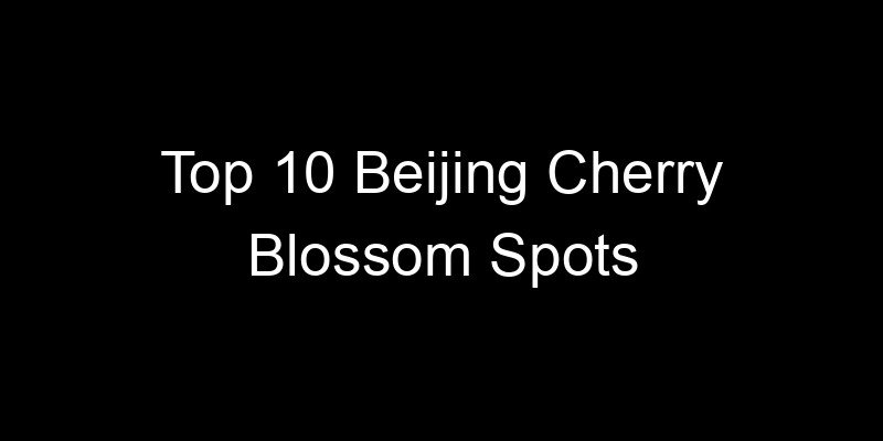 You are currently viewing Top 10 Beijing Cherry Blossom Spots