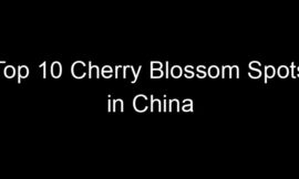 Top 10 Cherry Blossom Spots in China