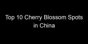 Read more about the article Top 10 Cherry Blossom Spots in China