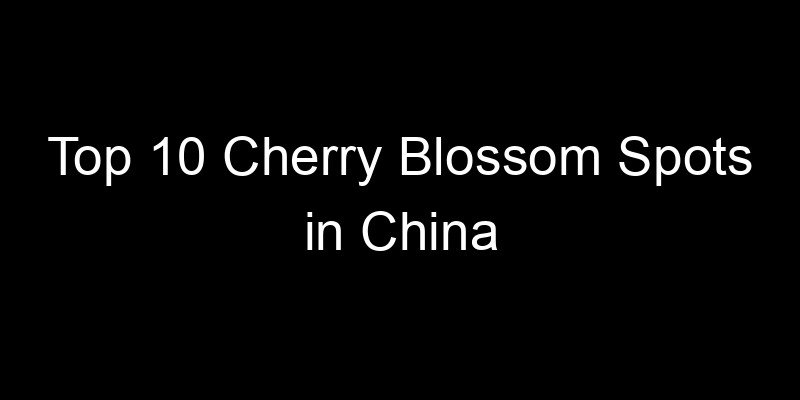 You are currently viewing Top 10 Cherry Blossom Spots in China