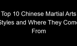Top 10 Chinese Martial Arts Styles and Where They Come From