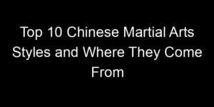 Read more about the article Top 10 Chinese Martial Arts Styles and Where They Come From