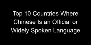 Read more about the article Top 10 Countries Where Chinese Is an Official or Widely Spoken Language