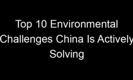 Top 10 Environmental Challenges China Is Actively Solving