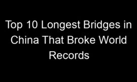 Top 10 Longest Bridges in China That Broke World Records