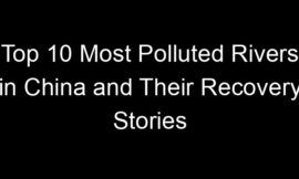 Top 10 Most Polluted Rivers in China and Their Recovery Stories