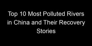 Read more about the article Top 10 Most Polluted Rivers in China and Their Recovery Stories