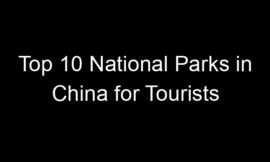 Top 10 National Parks in China for Tourists