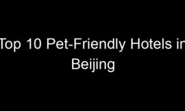 Top 10 Pet-Friendly Hotels in Beijing