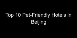 Read more about the article Top 10 Pet-Friendly Hotels in Beijing