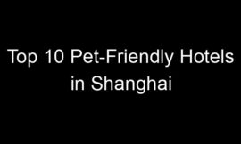 Top 10 Pet-Friendly Hotels in Shanghai
