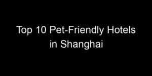 Read more about the article Top 10 Pet-Friendly Hotels in Shanghai