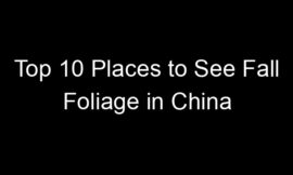 Top 10 Places to See Fall Foliage in China