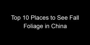 Read more about the article Top 10 Places to See Fall Foliage in China