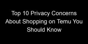 Read more about the article Top 10 Privacy Concerns About Shopping on Temu You Should Know