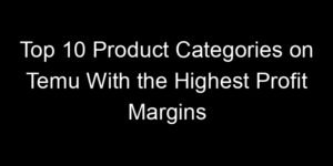Read more about the article Top 10 Product Categories on Temu With the Highest Profit Margins