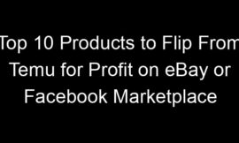 Top 10 Products to Flip From Temu for Profit on eBay or Facebook Marketplace