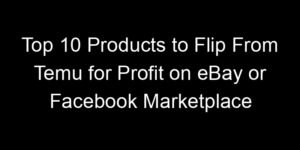 Read more about the article Top 10 Products to Flip From Temu for Profit on eBay or Facebook Marketplace