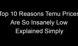Top 10 Reasons Temu Prices Are So Insanely Low Explained Simply