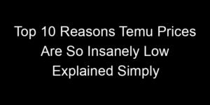 Read more about the article Top 10 Reasons Temu Prices Are So Insanely Low Explained Simply