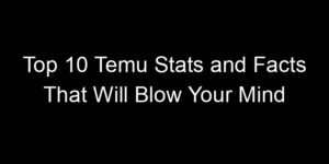 Read more about the article Top 10 Temu Stats and Facts That Will Blow Your Mind