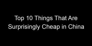 Read more about the article Top 10 Things That Are Surprisingly Cheap in China
