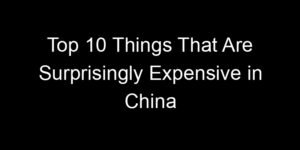 Read more about the article Top 10 Things That Are Surprisingly Expensive in China