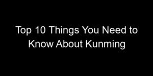 Read more about the article Top 10 Things You Need to Know About Kunming
