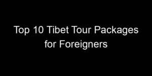 Read more about the article Top 10 Tibet Tour Packages for Foreigners