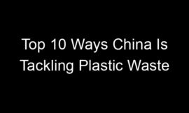 Top 10 Ways China Is Tackling Plastic Waste