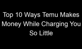 Top 10 Ways Temu Makes Money While Charging You So Little