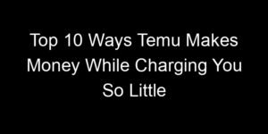 Read more about the article Top 10 Ways Temu Makes Money While Charging You So Little