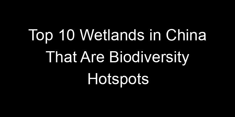 You are currently viewing Top 10 Wetlands in China That Are Biodiversity Hotspots