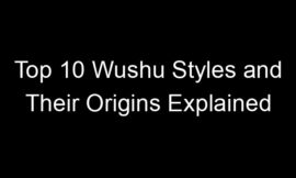 Top 10 Wushu Styles and Their Origins Explained
