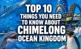 Top 10 Things You Need to Know About Chimelong Ocean Kingdom