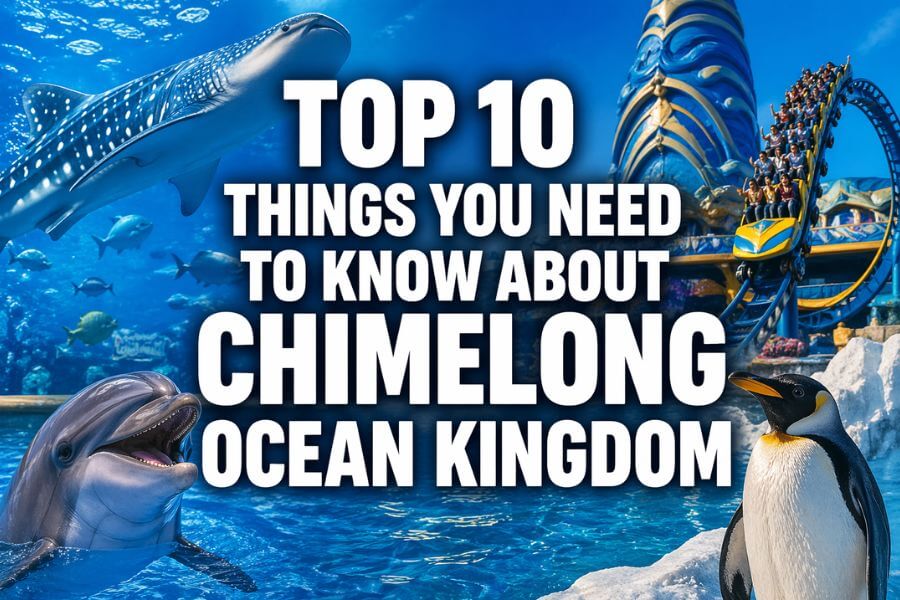 Top 10 Things You Need to Know About Chimelong Ocean Kingdom toptencn