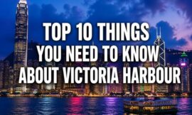 Top 10 Things You Need to Know About Victoria Harbour
