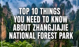 Top 10 Things You Need to Know About Zhangjiajie National Forest Park