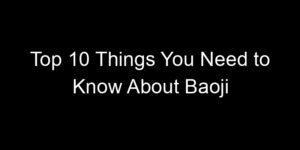Read more about the article Top 10 Things You Need to Know About Baoji