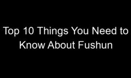 Top 10 Things You Need to Know About Fushun