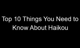 Top 10 Things You Need to Know About Haikou
