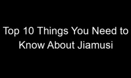 Top 10 Things You Need to Know About Jiamusi