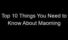 Top 10 Things You Need to Know About Maoming