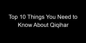 Read more about the article Top 10 Things You Need to Know About Qiqihar