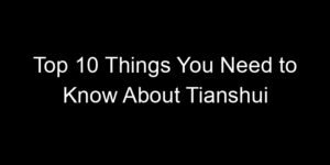 Read more about the article Top 10 Things You Need to Know About Tianshui